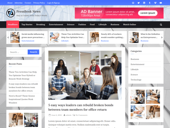 high-quality-adsense-friendly-wordpress-themes